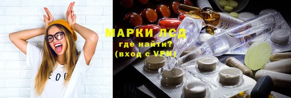 индика Лабытнанги