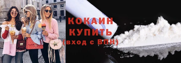 индика Лабытнанги