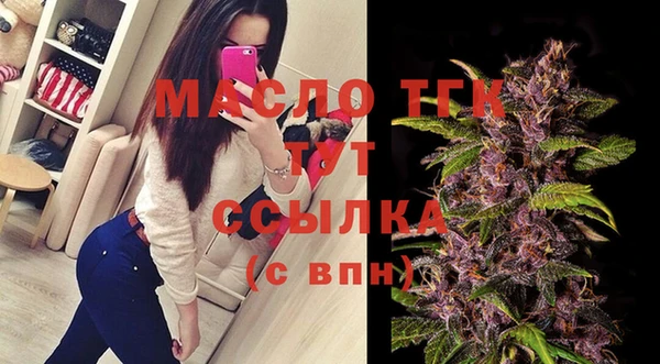 индика Лабытнанги