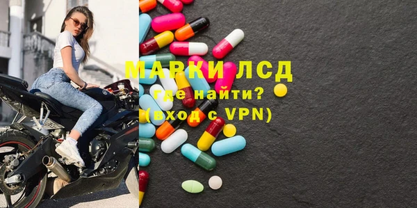 индика Лабытнанги