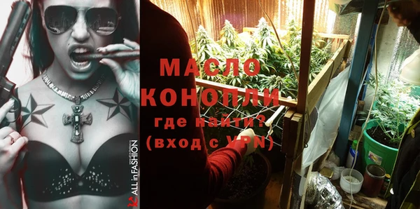индика Лабытнанги