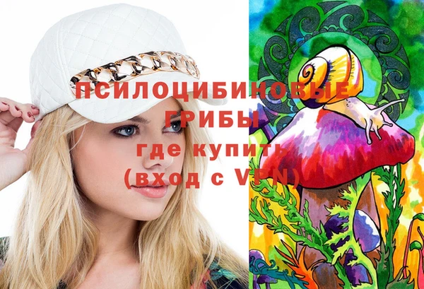 Альфа ПВП Ладушкин