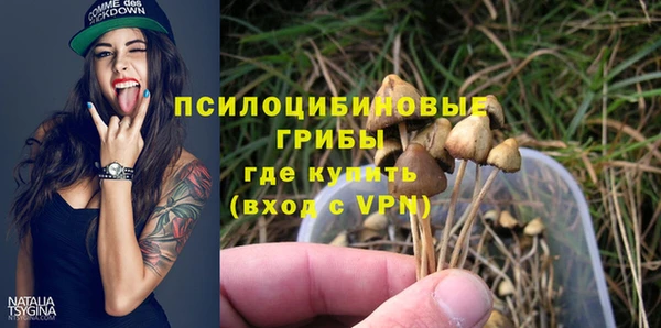 индика Лабытнанги