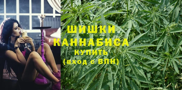 индика Лабытнанги