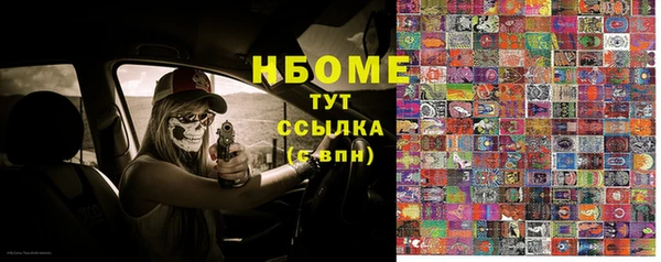 индика Лабытнанги