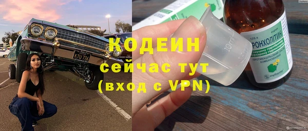 индика Лабытнанги
