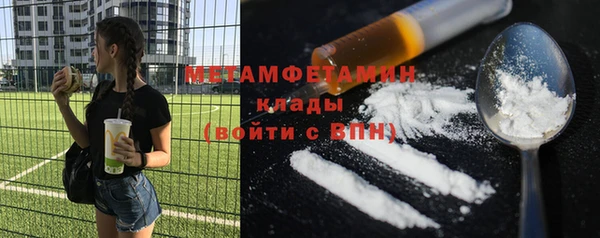 индика Лабытнанги