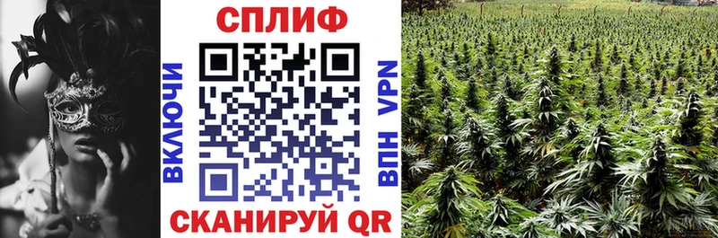 Купить закладки  Ладушкин  Каннабис SATIVA & INDICA 